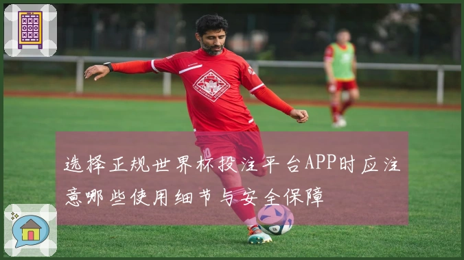 选择正规世界杯投注平台APP时应注意哪些使用细节与安全保障