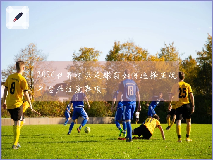 2026世界杯买足球前如何选择正规平台和注意事项-
