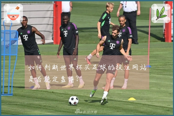 如何判断世界杯买足球的投注网站是否稳定靠谱？
