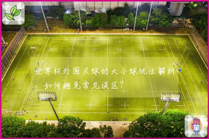 世界杯外围买球的大小球玩法解析，如何避免常见误区？