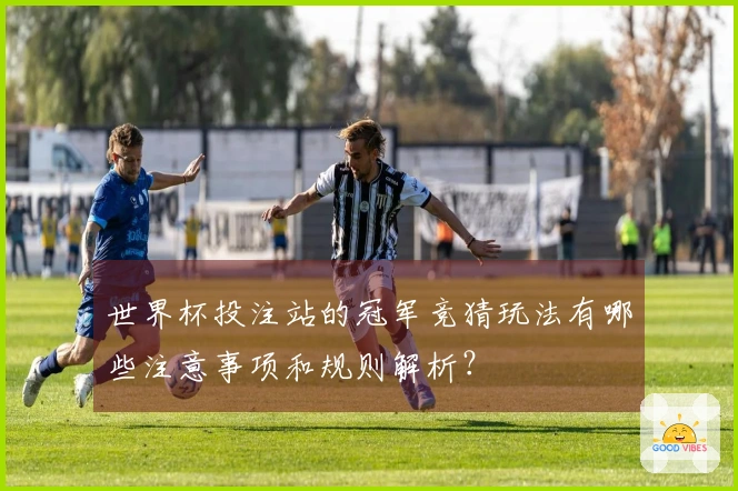 世界杯投注站的冠军竞猜玩法有哪些注意事项和规则解析？