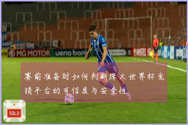 赛前准备时如何判断烽火世界杯竞猜平台的可信度与安全性