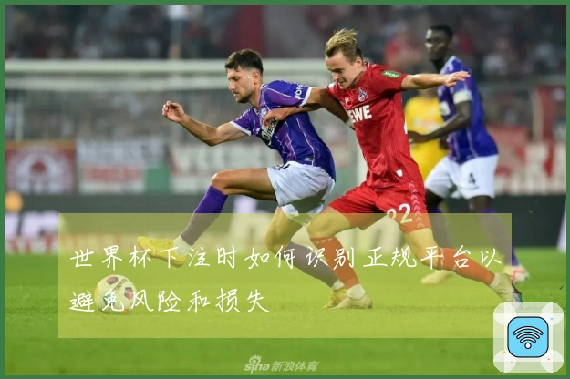 世界杯下注时如何识别正规平台以避免风险和损失